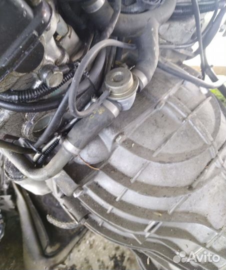 АКПП jaguar xj12