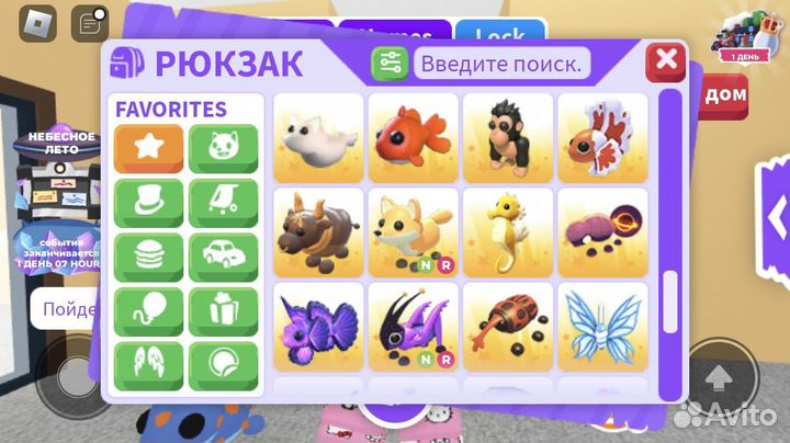 Петы адопт ми