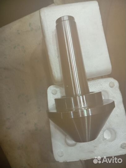 Токарный грибок