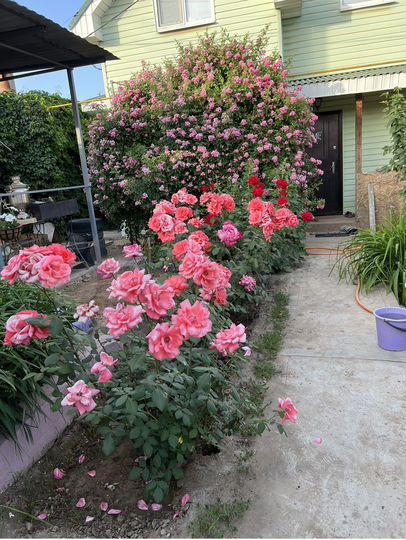 Дом 70 м² на участке 4 сот.