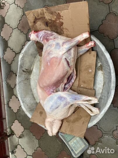Бараны на мясо