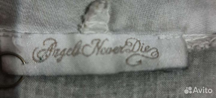 Angel's never die S