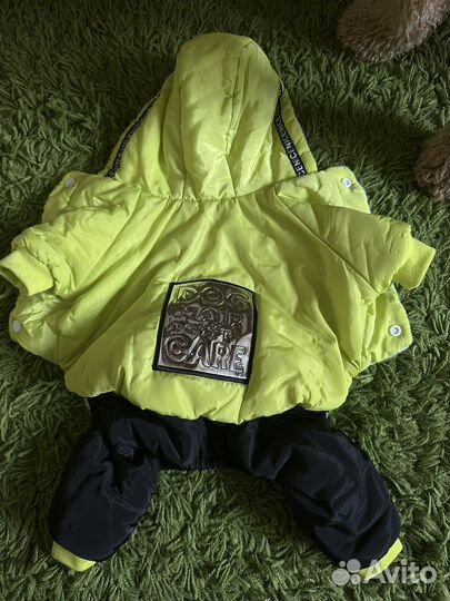 Одежда для собак мелких пород