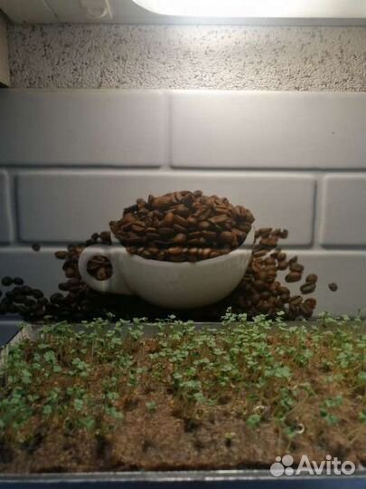 Джутовые коврики для микрозелени 10шт