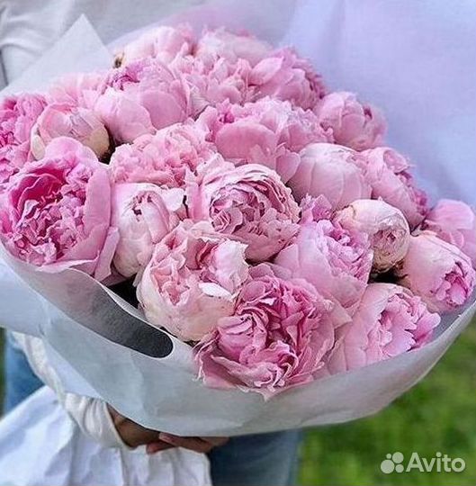 Пионы Букет