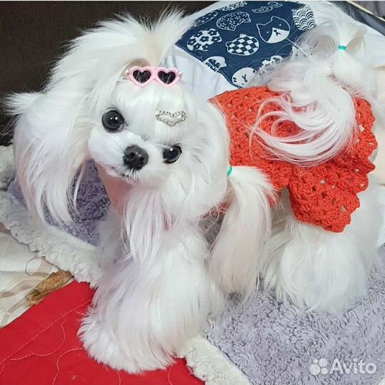 Суперские малышки