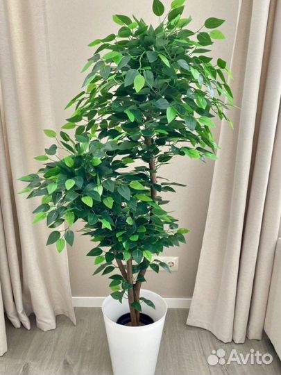 Искуственные растения в наличии и под заказ