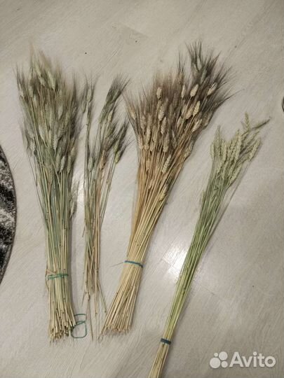 Букет пшеницы 2022 года