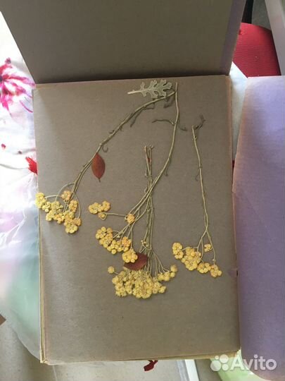 Папка для гербария СССР