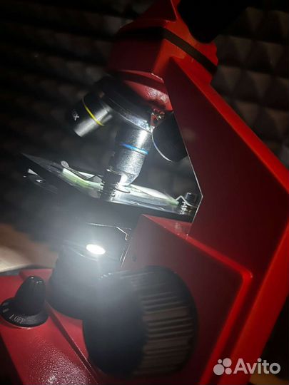 Микроскоп levenhuk rainbow 2l Plus