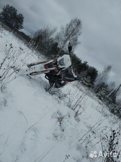 Ирбис ттр 250р