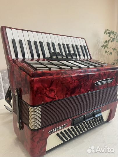 Аккордеон 
