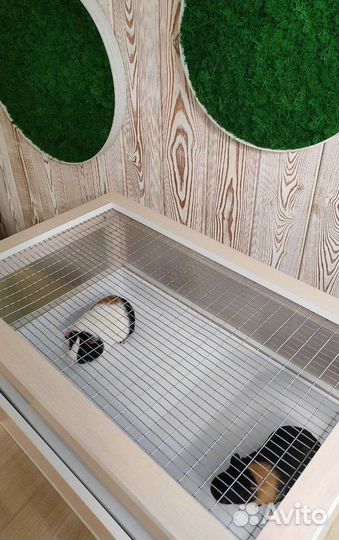 Вольер Клетка