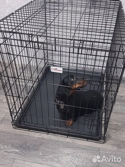 Клетка любого размера в наличии