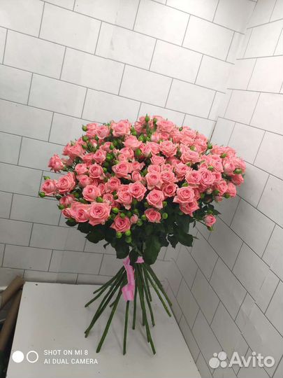 Букет корзина цветов куставая роза барбадос