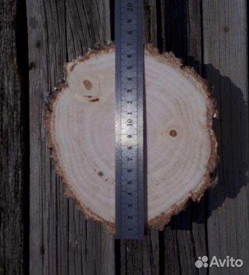 Торцевой Спил (Срез) березы -два среза