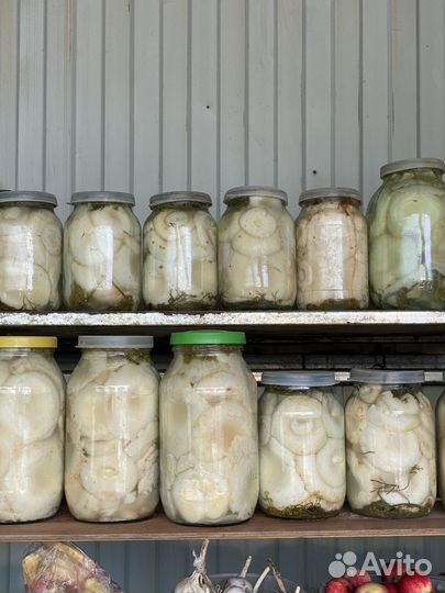 Грузди соленые