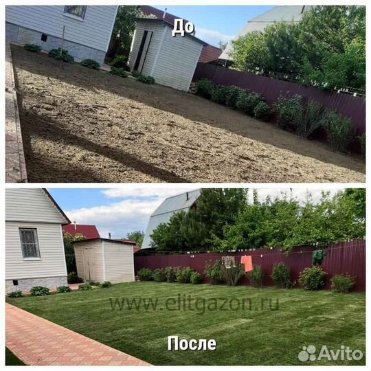 Укладка и продажа рулонного газона