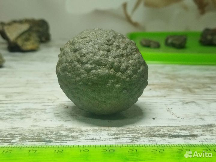 Пиритовые конкреции