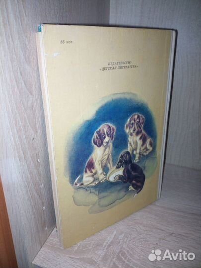 Удивительный заклад. Боронина Е. 1991г