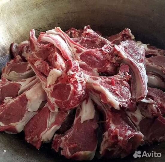 Продам мясо говядина халяль баранина