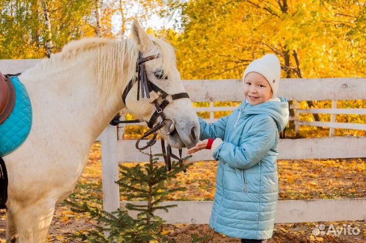 Прогулки на лошадях/фотосессии/обучение
