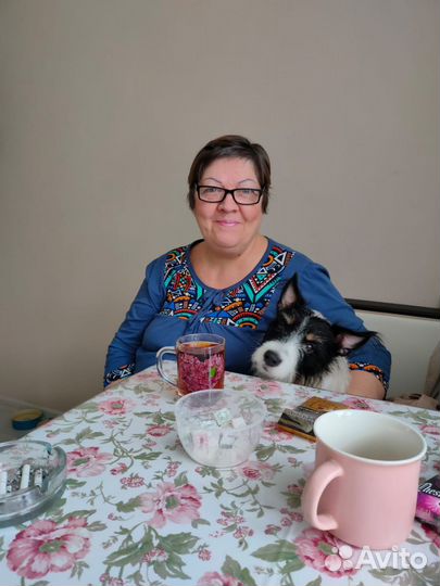 Индивидуальная передержка собак