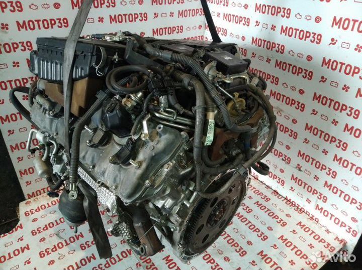 Двигатель Lexus Ls460 LS 1UR 2007