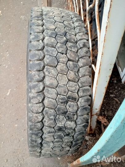 Шина 245 70 R 19.5