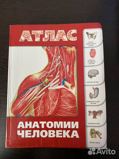 Продам атласы по анатомии