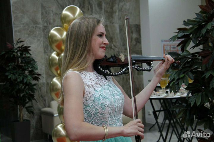 Скрипка на свадьбу, встреча гостей