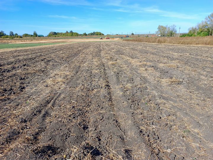 Участок 50 сот. (СНТ, ДНП)