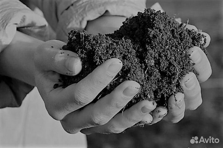 Суглинок для засыпки участка.З-42