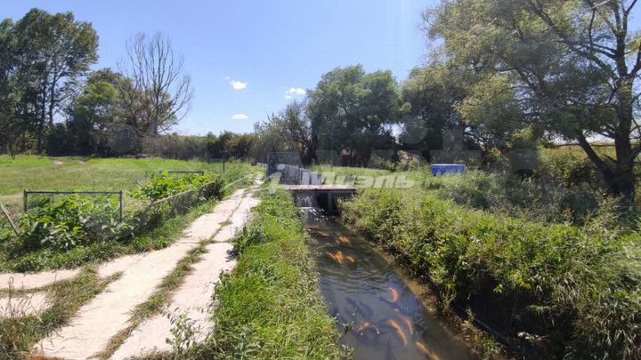 3,5 га - рыбохозяйство