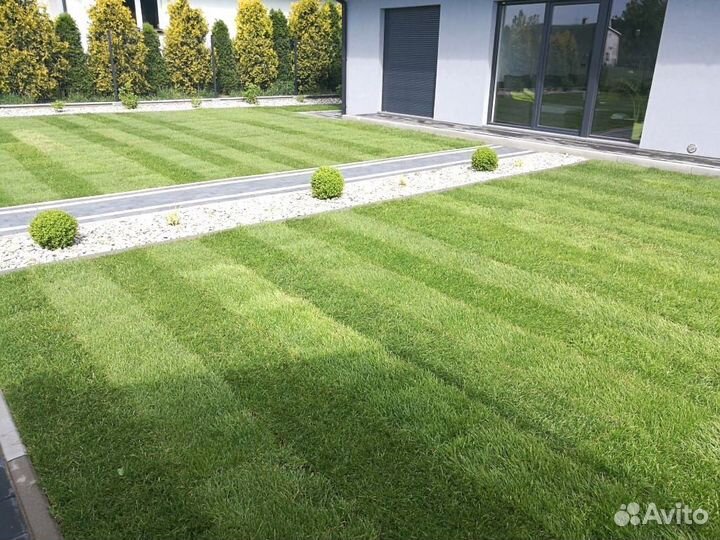 Рулонный газон