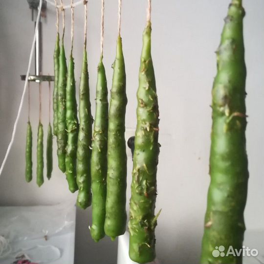 Маканые восковые свечи