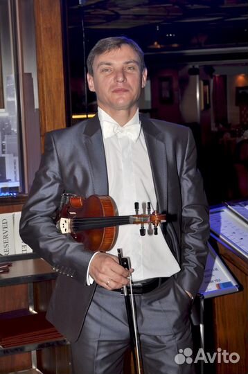 Живая музыка скрипка скрипач профи