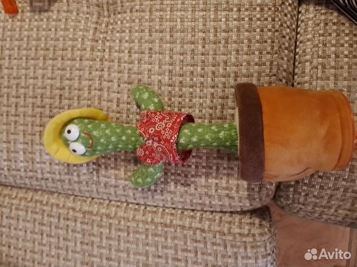 Танцующий кактус