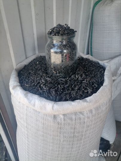 Продам вкусные семечки