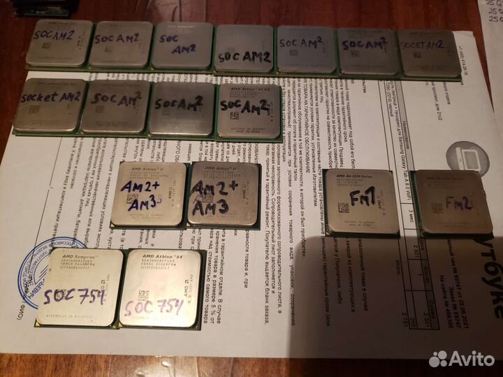 Процессоры AMD 462 754 939 AM2 AM2+ AM3 FM1 FM2 S1