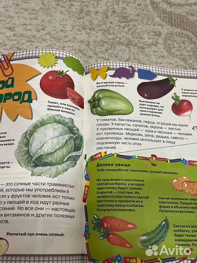 Энциклопедия дошкольника