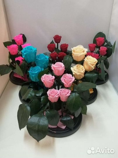 Цветы оптом