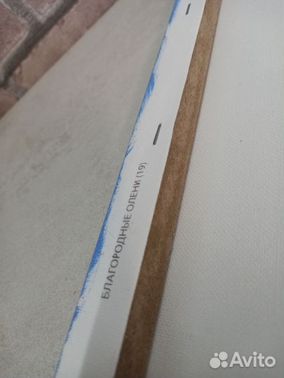 Картины по номерам раскрашенная