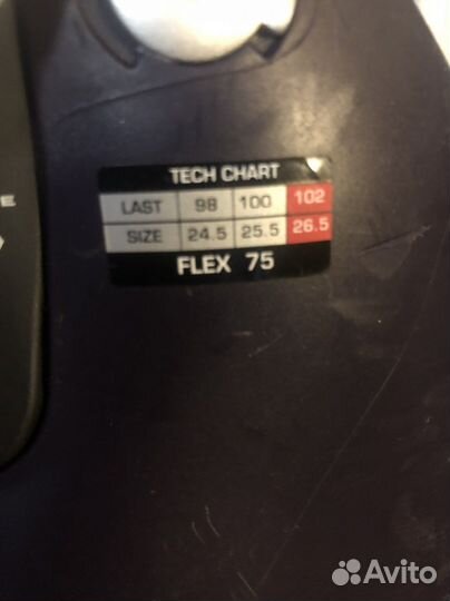 Горнолыжные ботинки