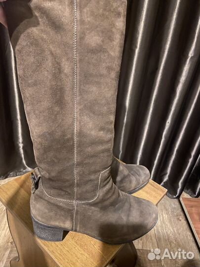 Сапоги женские натуральная замша