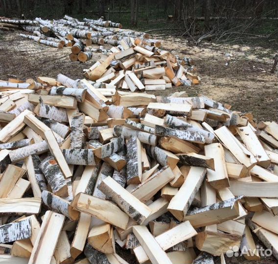 Дрова осина