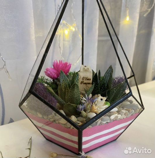 Флорариумы подарок