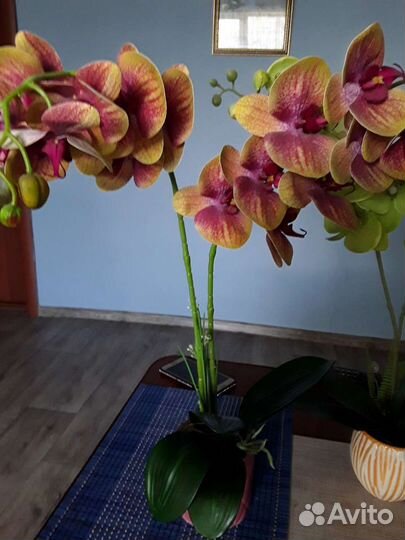 Орхидея (латекс)