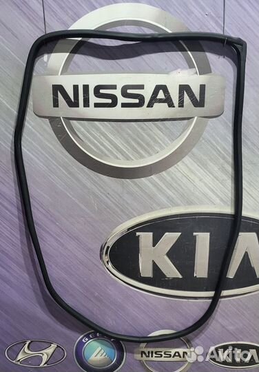 Уплотнитель проема двери зад nissan teana J32 Прав