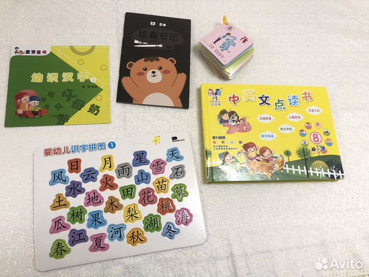 Китайский и английский языки с носителем